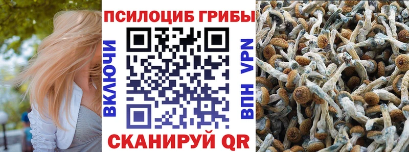 Галлюциногенные грибы прущие грибы  магазин  наркотиков  Харабали 